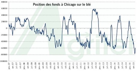 Les fonds sp&eacute;culatifs, instigateurs des r&eacute;cents mouvements sur le bl&eacute; ? - Wikiagri.fr | MED-Amin network | Scoop.it