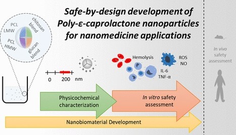 Unravelling the Immunotoxicity of Polycaprolactone Nanoparticles | iBB | Scoop.it