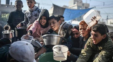 MENA : Gaza : « nous pouvons encore éviter la famine », affirme le PAM | CIHEAM Press Review | Scoop.it