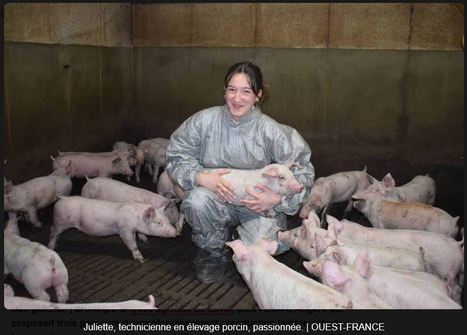 Technicienne en élevage porcin à 20 ans, Juliette Rochard conseille et contrôle les agriculteurs | Agricampus Laval | Scoop.it