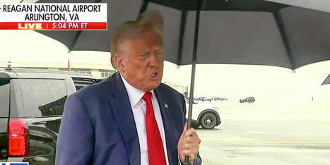 Trump is ineligible for office and more people are realizing it: Yale professor - RawStory.com | Backstabber Watch | Scoop.it