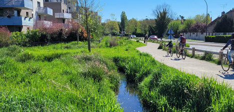 Le retour à la vie des petites rivières urbaines | ESPACES VEGETALISES URBAINS | Scoop.it