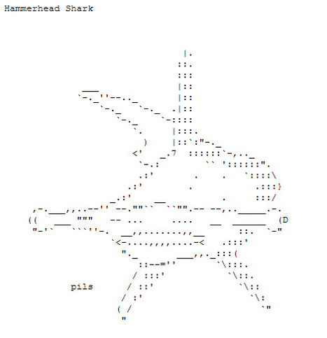 ASCII Art—Animals—Sharks | 16s3d: Bestioles, opinions & pétitions | Scoop.it