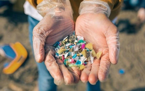 This Is Where We’re Most at Risk From Toxic Microplastics | Online Marketing Tools | Scoop.it