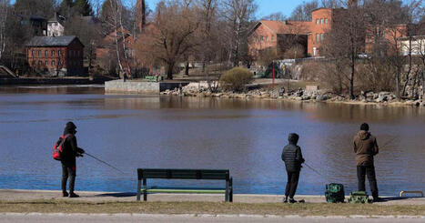 Forecast looks bright as warmth and sunshine continue | Yle News | Yle | 1Uutiset - Lukemisen t&auml;hden | Scoop.it