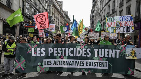 &laquo;&nbsp;Enjeu de sant&eacute; publique fondamental&nbsp;&raquo;&nbsp;: &agrave; Paris, ils manifestent pour demander la fin de l&rsquo;utilisation des pesticides | Vari&eacute;t&eacute;s entomologiques | Scoop.it