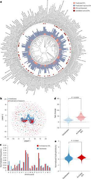 Deep learning reveals antibiotics in the archaeal proteome | Nature Microbiology | Immunology | Scoop.it