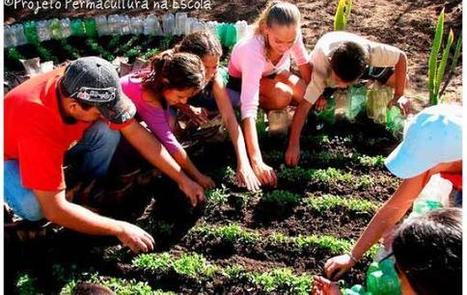 "Permacultura per tutti", il nuovo manuale di Terra Nuova Edizioni - Permacultura per tutti, terra nuova edizioni, progettare orti, permacultura, | Orto, Giardino, Frutteto, Piante Innovative e Antiche Varietà | Scoop.it