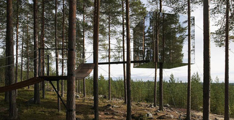 Hotel in Svezia con le stanze sugli alberi | www.greenplanet.net | EcoTurismo e Mobilità Sostenibile | Scoop.it