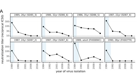 A Human Coronavirus Evolves Antigenically to Escape Antibody Immunity | bioRxiv | Virus World | Scoop.it