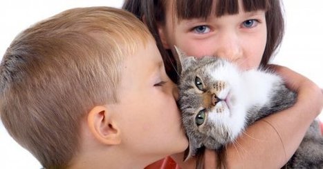 Mascotas y patologías oculares de cuidado | Salud Visual 2.0 | Scoop.it