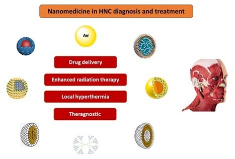Insights into Nanomedicine for Head and Neck Cancer Diagnosis and Treatment | iBB | Scoop.it