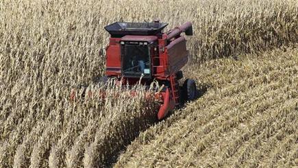 Cargill: 'A Longterm Mistake' to Label GMO Foods | Questions de développement ... | Scoop.it