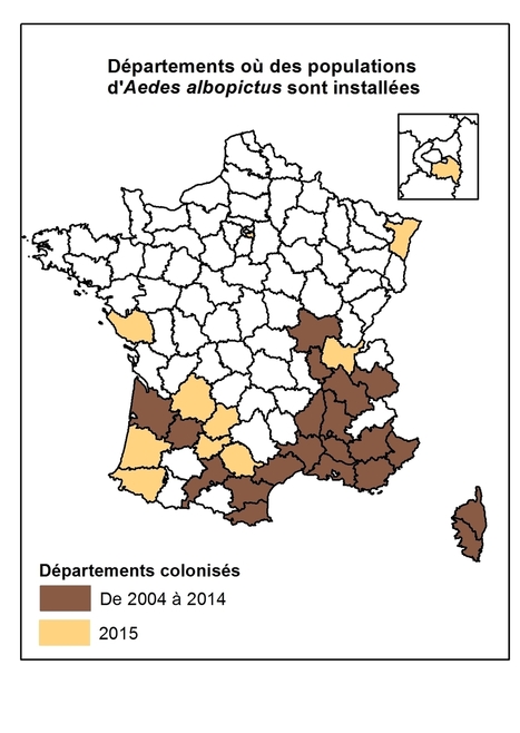 Etat de la colonisation par Aedes albopictus en 2015 | EntomoNews | Scoop.it