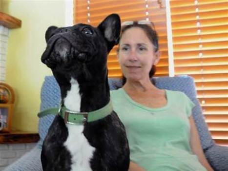 French Bulldog Inspires Woman with ALS | MND to Write Again | #ALS AWARENESS #LouGehrigsDisease #PARKINSONS | Scoop.it