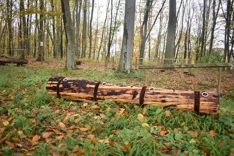 Eu : les arbres abattus deviennent des racks à vélos | L'Informateur d'Eu | 5 - Equipements et lieux de pratique | Scoop.it