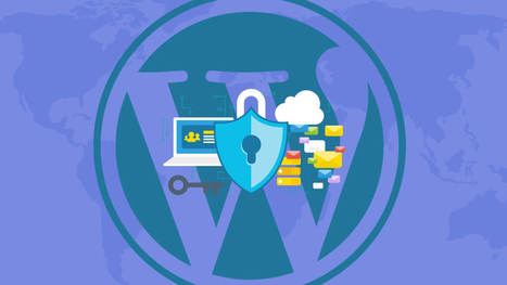 11 Ways to Protect Your WordPress Website From Being Hacked | themes ninja | Scoop.it