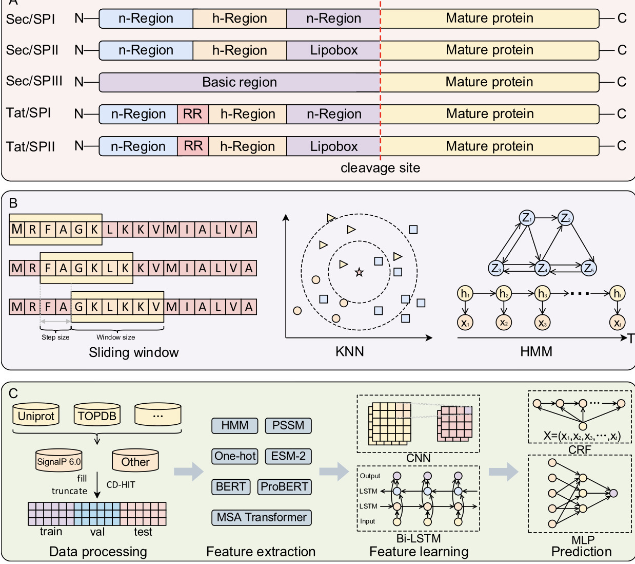 Computational methods for signal peptide predic...