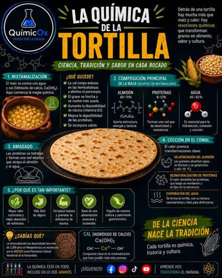 La tortilla de ma&iacute;z: un milagro qu&iacute;mico y cultural de Mesoam&eacute;rica &ndash; &iexcl;Toca comer! | Rafael Barzanallana | Scoop.it