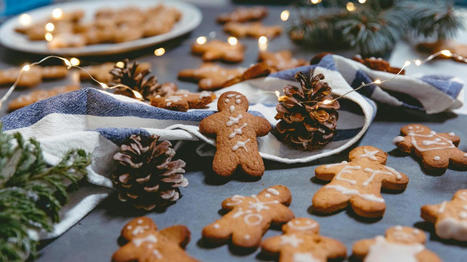 Attention aux arnaques: voici 10 aliments que vous devriez éviter pour les fêtes | Toxique, soyons vigilant ! | Scoop.it