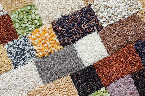 Mati&egrave;res premi&egrave;res : les pr&eacute;visions de Coface pour 2027 | AGROALIMENTAIRE | Scoop.it
