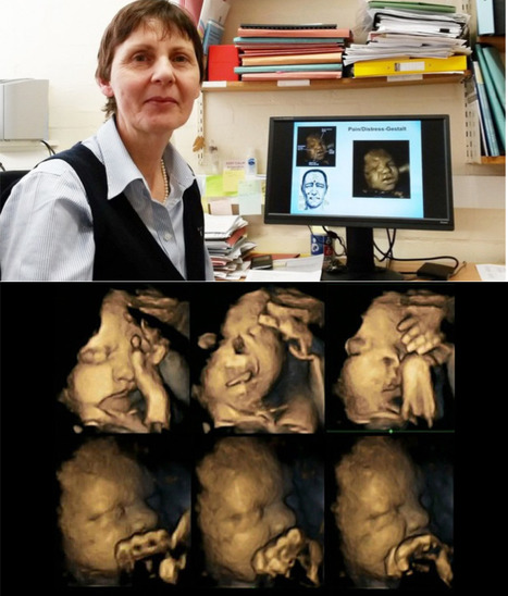 La mère de ce bébé fume, voilà comment il réagit | Koter Info - La Gazette de LLN-WSL-UCL | Scoop.it