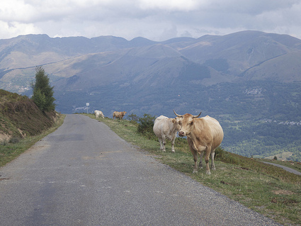 Hourquette d’Ancizan, Col d’Aspin, and Col d’Azet : Cycling Challenge | Vallées d'Aure & Louron - Pyrénées | Scoop.it
