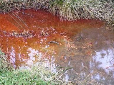 Hazardous waste a danger not only to our water but also our wellbeing / BelfastTelegraph.co. du 11.02.2015 | Pollution accidentelle des eaux par produits chimiques | Scoop.it