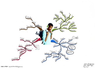 Faire un exposé sur Stromae avec une carte mentale | POURQUOI PAS... EN FRANÇAIS ? | Scoop.it