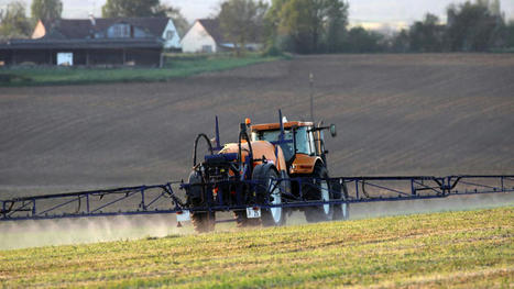 Les coop&eacute;ratives appellent &agrave; une r&eacute;industrialisation de la France agricole | Actualit&eacute; B&eacute;tail | Scoop.it