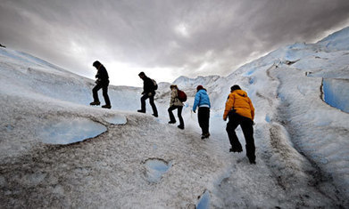 Patagonia plans global campaign for responsible capitalism | Innovation, D&eacute;veloppement Durable, RSE | Scoop.it