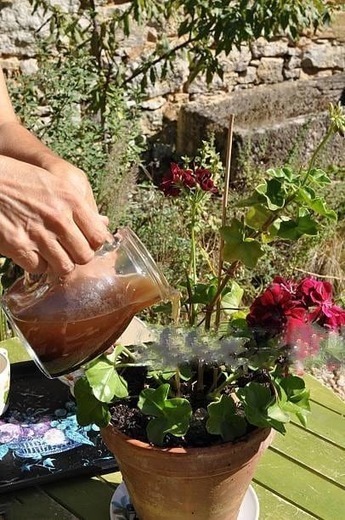 Ne Jetez Plus le Marc de Café ! 10 Façons Étonnantes de l'Utiliser Dans Votre Jardin. | Eco-Friendly Lifestyle | Scoop.it