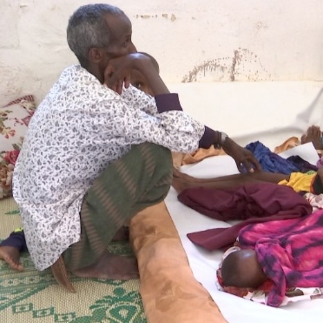 The girl named Grape and the baby with no name at all | Stage 5 Human Wellbeing | Scoop.it