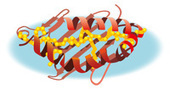 Polyarthritis - Crafoordprize | History of Immunology | Scoop.it