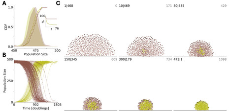 The key role of cheaters in the persistence of cooperation | BMC | RMH | Scoop.it