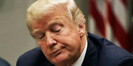 Trump documents probe the 'biggest criminal case in US history': former prosecutor - RawStory.com | Backstabber Watch | Scoop.it