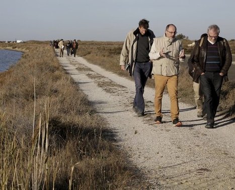 Changement climatique : la Camargue en alerte | Camargue Nature | Scoop.it