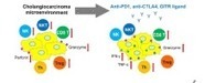 Reduction of immunosuppressive tumor microenvironment in cholangiocarcinoma by ex-vivo targeting immune checkpoint molecules - ScienceDirect | Wuhan, Hubei | Scoop.it