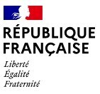 Publication de la loi visant à réformer le mode d'élection des membres du conseil de Paris et des conseils municipaux de Lyon et de Marseille | Veille juridique du CDG13 | Scoop.it