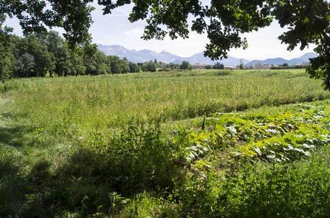 De la conservation conflictuelle &agrave; l'am&eacute;nagement durable : le paysage et la biodiversit&eacute; saisis par le droit | PAYSAGE ET TERRITOIRES | Scoop.it