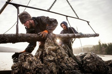 Facing Climate Change - Four New Multimedia Films | CLIMATE CHANGE WILL IMPACT US ALL | Scoop.it