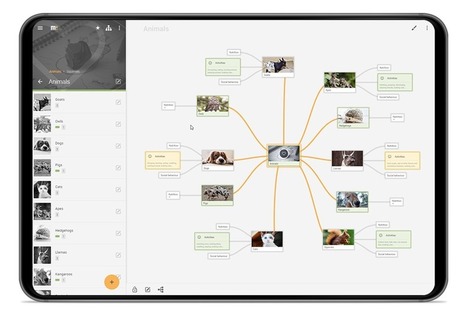 Mindz - Mobile Mindmapping | Android and iPad apps for language teachers | Scoop.it