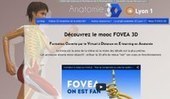 FOVEA un MOOC en anatomie fonctionnelle 3D | Veille Éducative - L'actualité de l'éducation en continu | Scoop.it