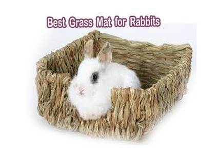 Best Grass Mat For Rabbits Best Rabbit Hutche