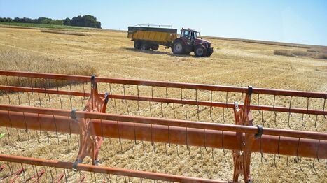 "On risque de perdre 50 % de nos agriculteurs" : le cri d&rsquo;alarme d&rsquo;une association en Indre-et-Loire face &agrave; la crise | Revue de presse &eacute;conomique du Sud Touraine | Scoop.it