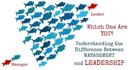 Understanding the Difference between Management and Leadership | Strategic HRM | Scoop.it