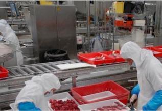 L’Allemagne va interdire la sous-traitance dans les abattoirs | La Gazette des abattoirs | Scoop.it