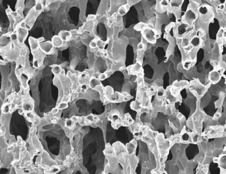Fruit of Aluminum: Peel-Inspired Metal | Biomimicry | Scoop.it