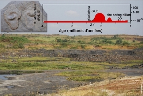 L’effet « yoyo » de l’oxygène atmosphérique  il y a 2,3 à 2 milliards d’années, décisif pour la vie sur Terre | EntomoScience | Scoop.it