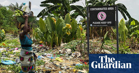 Shell must clean up pollution before it leaves Niger delta, report says | Pollution | The Guardian | Microeconomics: IB Economics | Scoop.it
